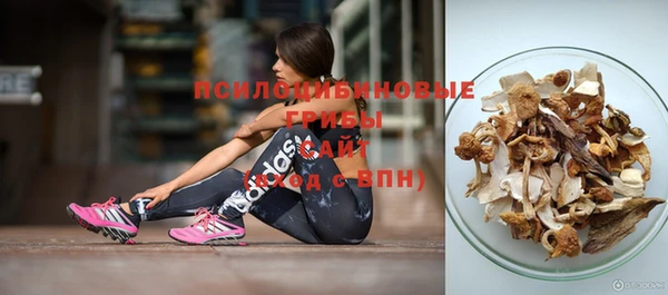 молекула духа Пестово