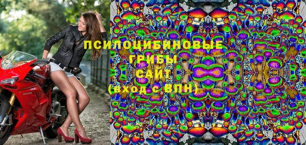ПСИЛОЦИБИНОВЫЕ ГРИБЫ Пересвет