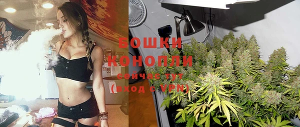 молекула духа Пестово