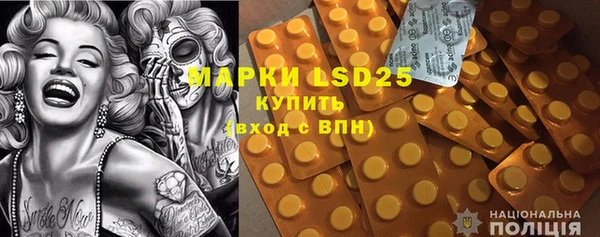 ПСИЛОЦИБИНОВЫЕ ГРИБЫ Пересвет