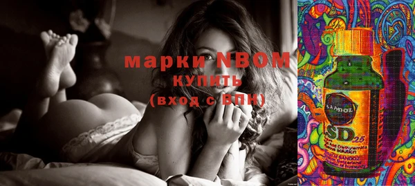 молекула духа Пестово