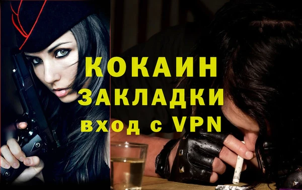 молекула духа Пестово